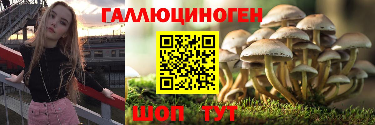 Галлюциногенные грибы мухоморы  купить закладку  Арзамас  Вход с VPN 