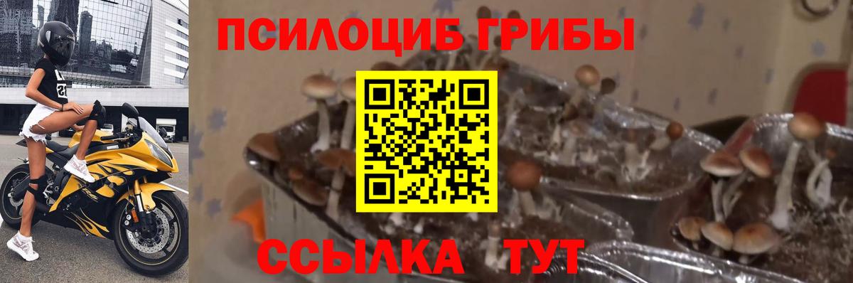 Галлюциногенные грибы MAGIC MUSHROOMS Арзамас